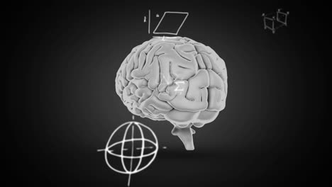 animation of mathematical equations over brain