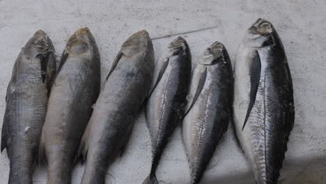 pescado fresco mantenido en una caja de nieve en una tienda minorista para su venta durante el día desde diferentes ángulos