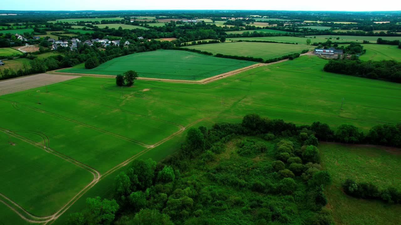 Flying Over Vast Verdant Landscape With Fields And Forest On The Countryside