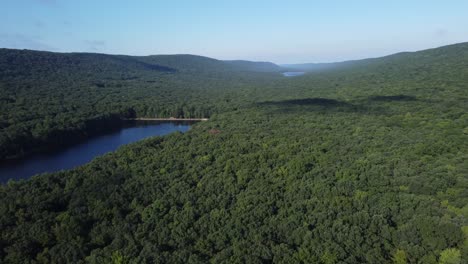 birds-eye-view-over-a-rural-forest-and-river-water