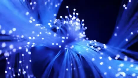 experience the mesmerizing display of blue fiber optic lights radiating in a dark setting, creating a tranquil and enchanting atmosphere perfect for relaxation or inspiration.