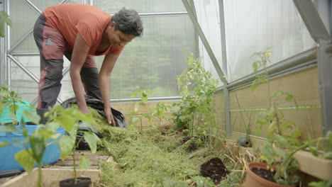 slider, tracking - the woman smiles as she spreads grass as mulch