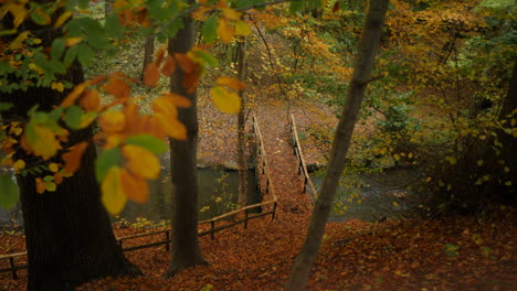 puente en el parque forestal de otoño