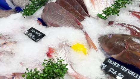 close-up of fresh silver trevally and snapper fish on ice with lemon and herbs.