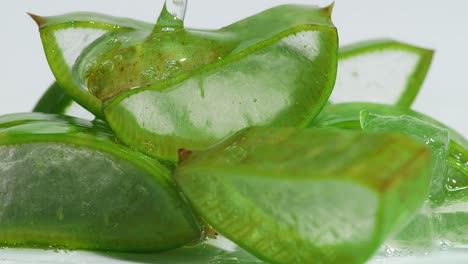 close up of transparent extract gel flows through the aloe vera sliced on white background. natural medical plant for organic cosmetics, alternative medicine