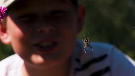 boy observing a spider on its web