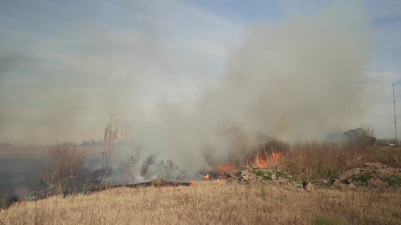 View of flames and smoke from a grass fire