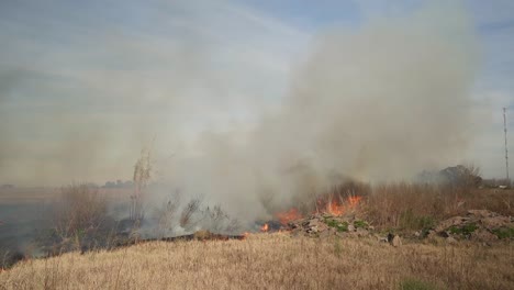 view of flames and smoke from a grass fire