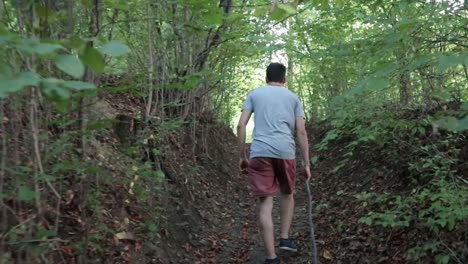 a man walks on a footpath in forest, daytime, summer season