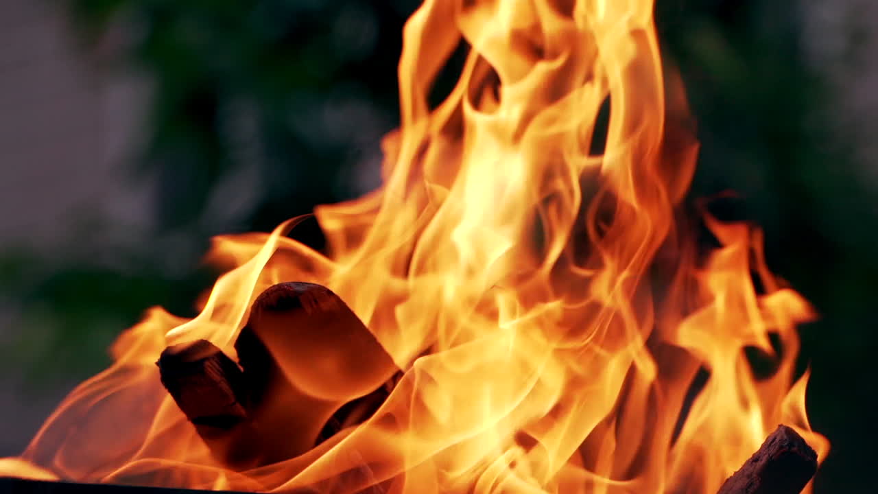 A burning bonfire on vacation during a hike in the forest. Divorced for cooking and for keeping warm in the cold evening.