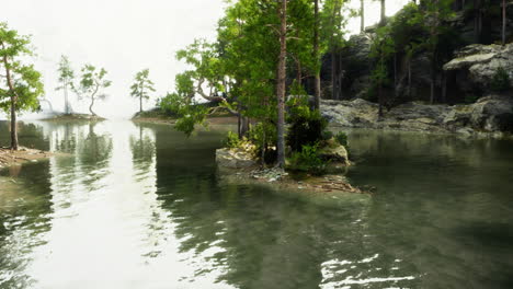 tranquil lake in a pine forest