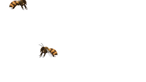 abejas volando sobre fondos blancos y verdes