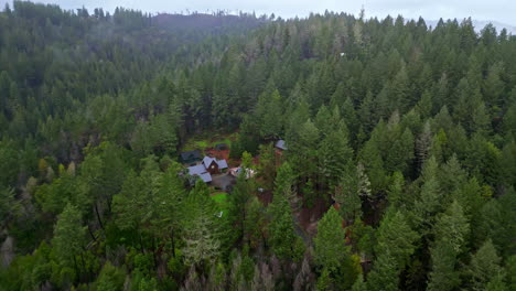 Luftdrohnen-Fliegen-über-Versteckte-Häuser-Im-Dorf-Rund-Um-Den-Grünen-Kiefernwald-Der-Mammutbäume