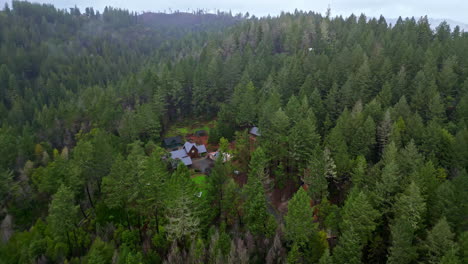 aerial drone fly above hidden houses village around green redwoods pine forest