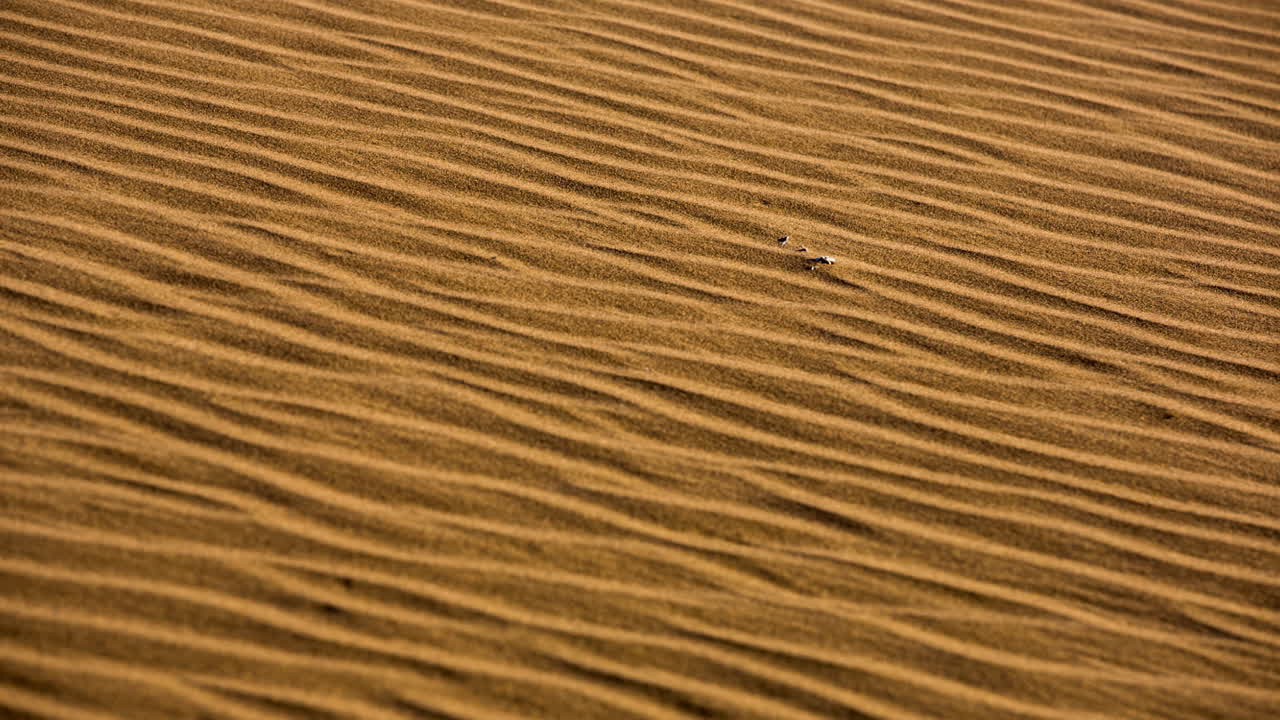 merzouga en el desierto del sáhara en marruecos