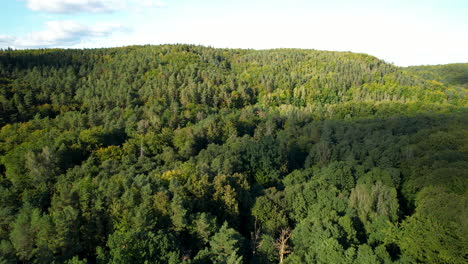 aerial panning shot of green forest landscape during sunny day in poland