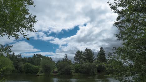 Pond-With-Lush-Foliage-On-Rural-Landscape-Of-Norfolk-In-England