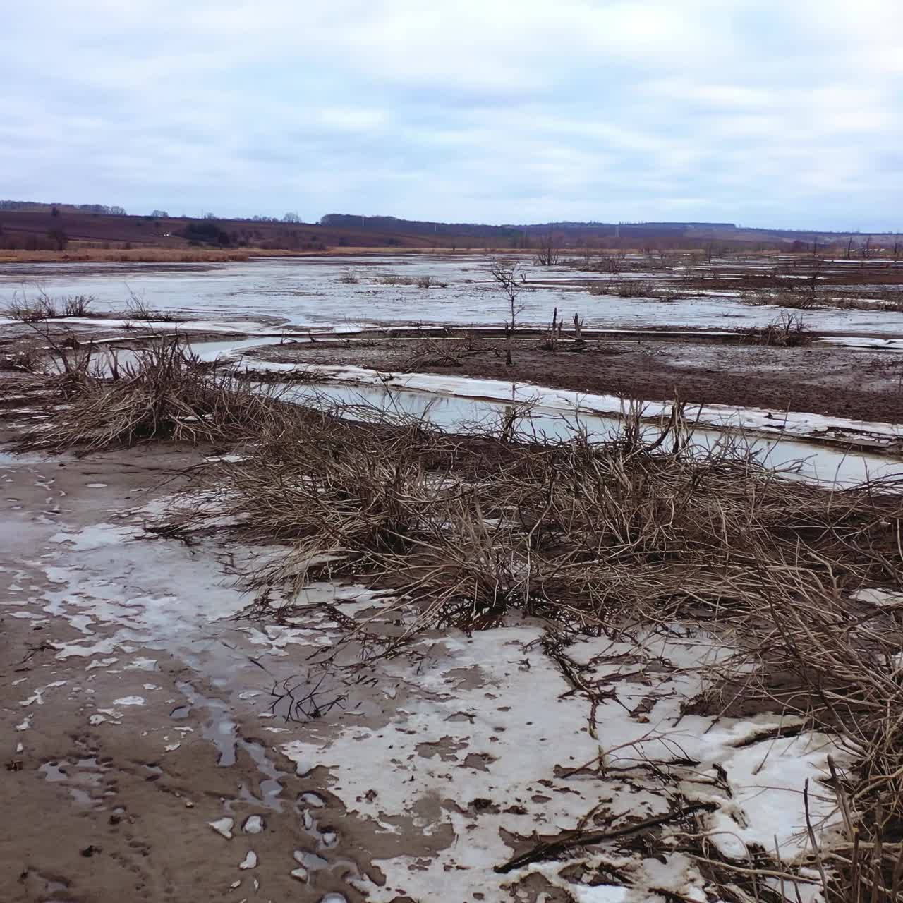 Global water crisis.Contamination of water. Death of plants due to water scarcity. Pollution of lakes and rivers. Environmental problems on Earth