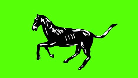 cartoon horse running
