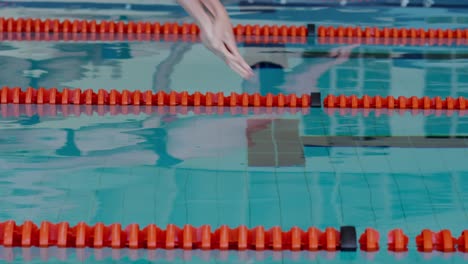 Swimmers-diving-into-the-pool