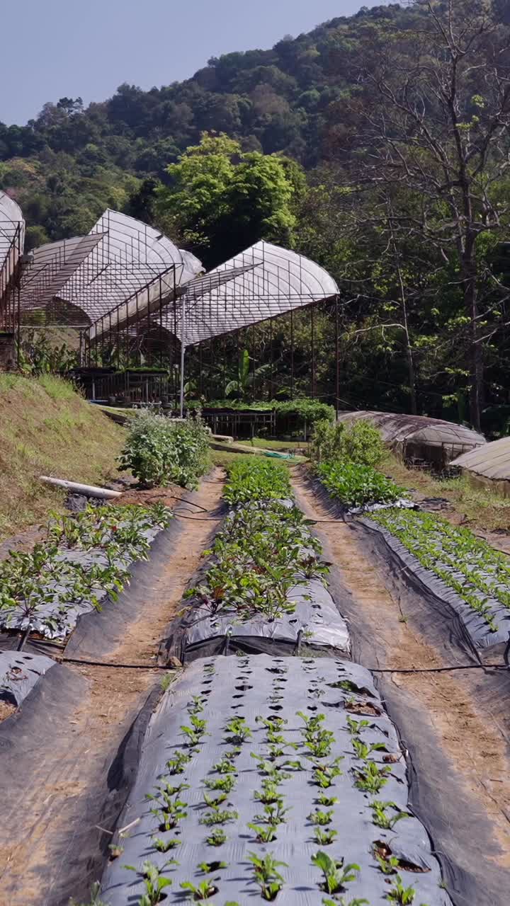 Greenhouses and Crops in a Garden