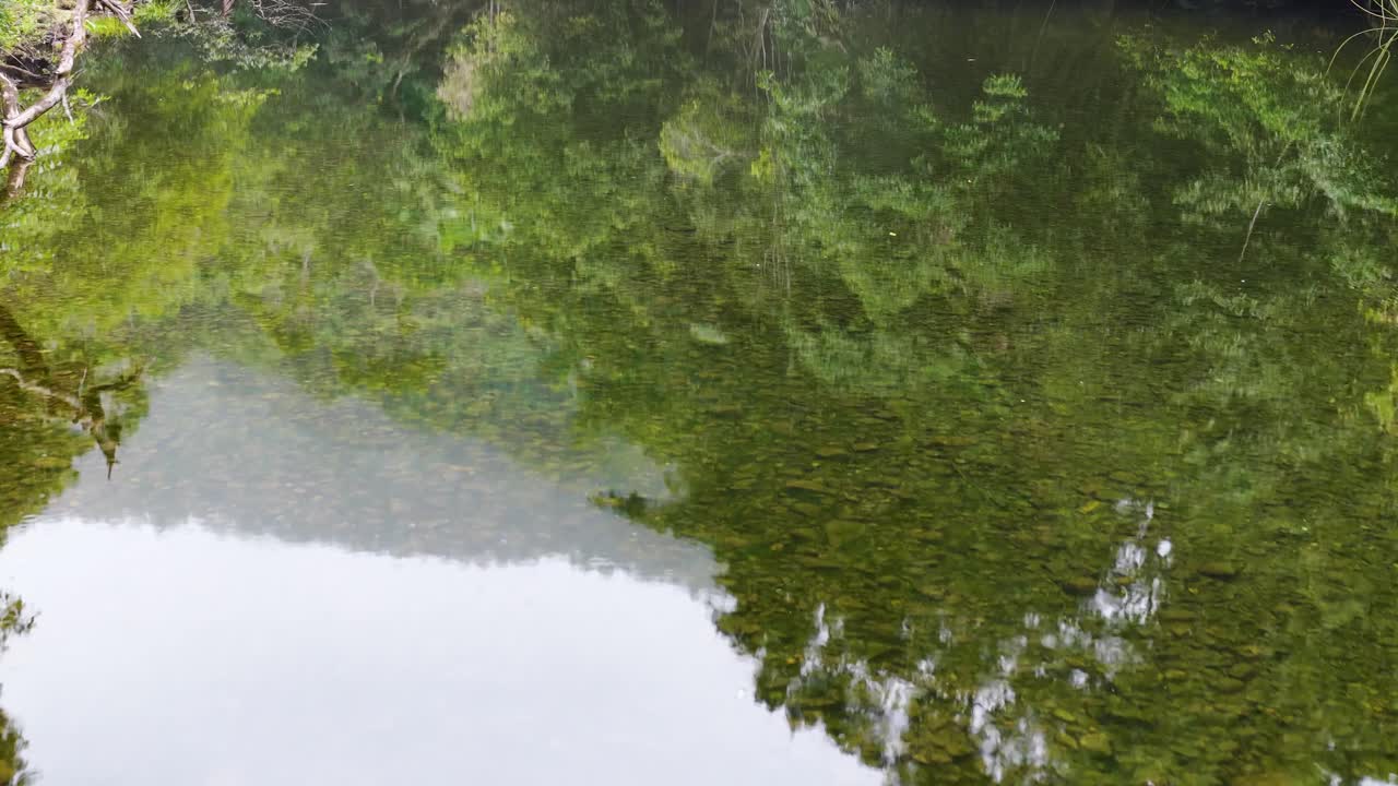 Aerial footage captures a tranquil rainforest river with lush greenery and calm reflections under soft, natural lighting