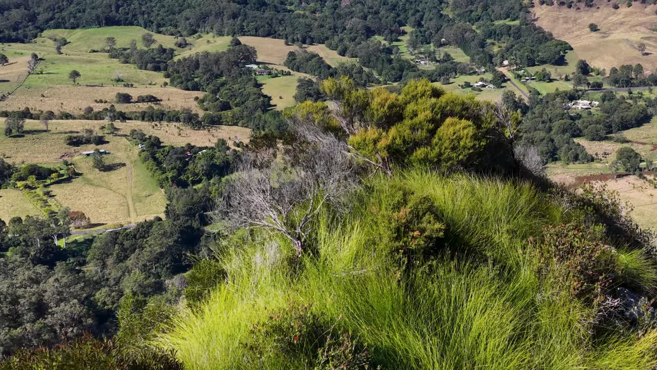 Aerial footage of lush greenery and rocky formations in Nimbin, Australia, under bright daylight, showcasing natural beauty and tranquility