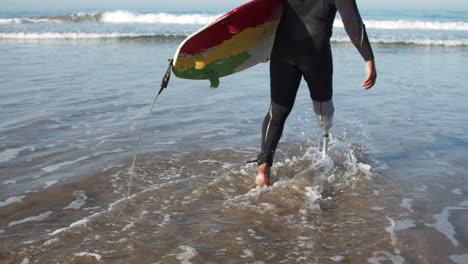 back view of a male surfer with bionic leg in wetsuit entering into ocean