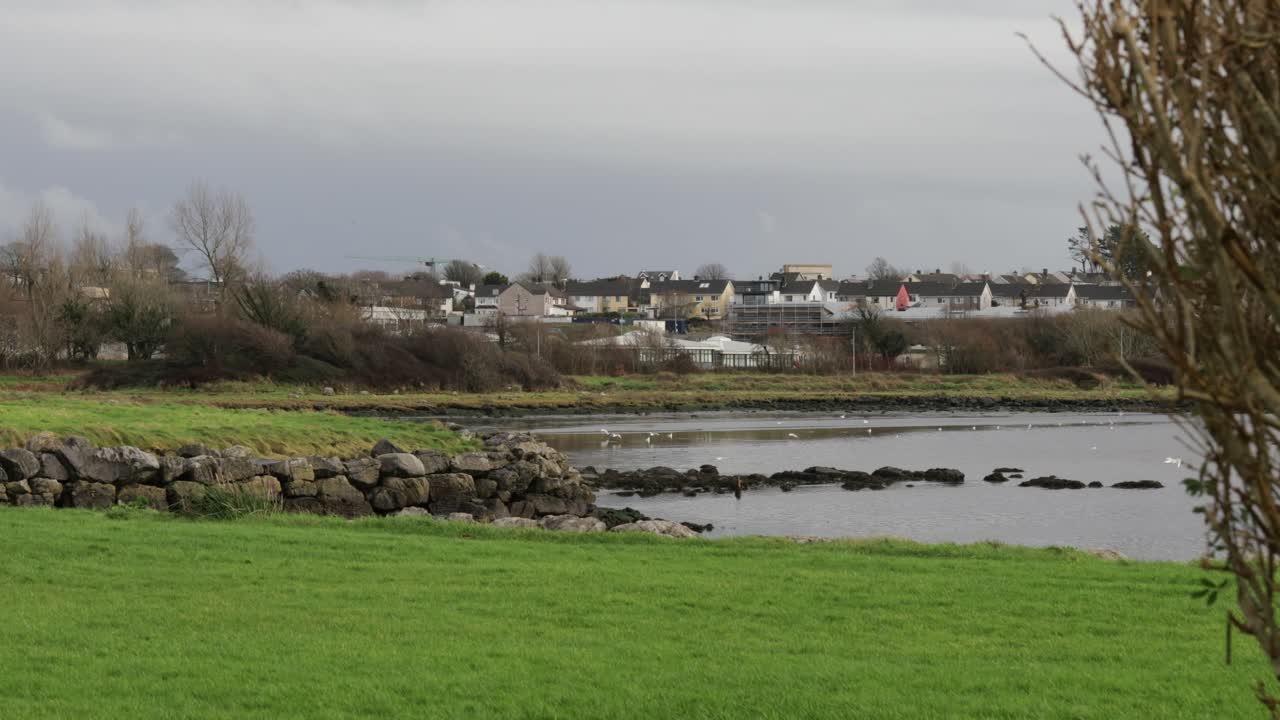 A scenic view of the lush grassy bank and shoreline of Lough Atalia in Galway and local residential neighborhood under an overcast sky