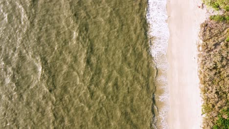 conservación de la ecología costa de los residuos marinos y tóxicos de la industria