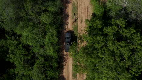 Jeep-driving-on-sand-road-in-green-lush-forest-of-Yala-National-Park