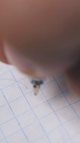 man with bad handwriting writes words are you crazy with blue ball pen on empty checkered paper sheet macro