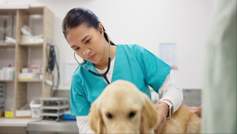 Woman-with-stethoscope,-animal-clinic