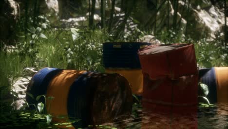 rusty barrels in green forest