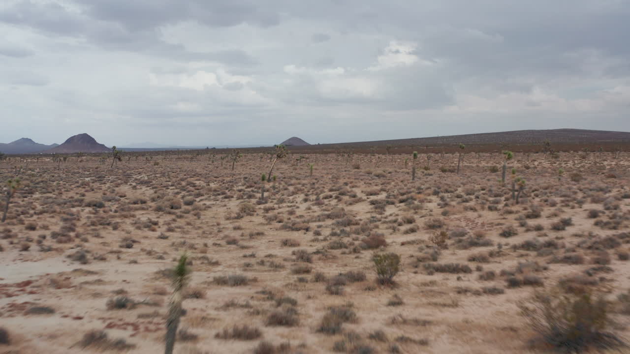 vuelo sobre el paisaje del desierto de mojave y árboles de joshua con montañas volcánicas en forma de cono en el horizonte