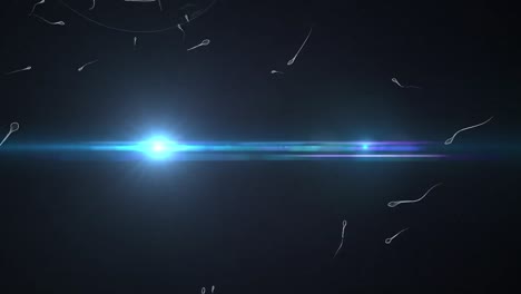 animation of light spots over sperm cells and circle