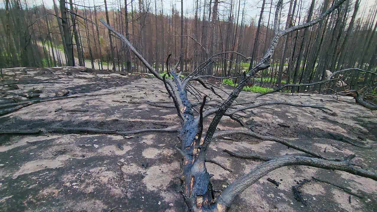 vista de aviones no tripulados entrando en el bosque después de un incendio en sudbury, ontario, canadá