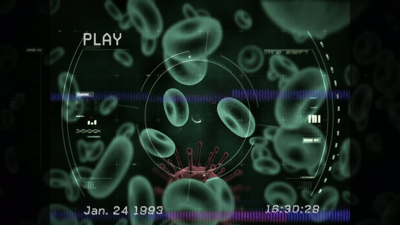 바이러스와 혈액 세포에 대한 간섭과 데이터 처리의 애니메이션