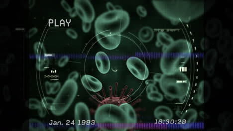 animación de interferencia y procesamiento de datos sobre virus y células sanguíneas