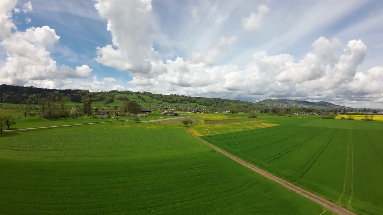 FPV flight over blossoming pear tree and green farmland in spring