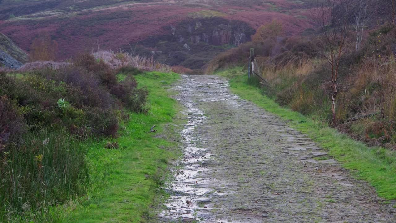 sendero, sendero de campo, que conduce a través de bosques a lo largo de la orilla de un río de páramo