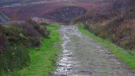 Pathway,-Country-Trail,-leading-through-woodlands-along-the-side-of-a-moorland-river