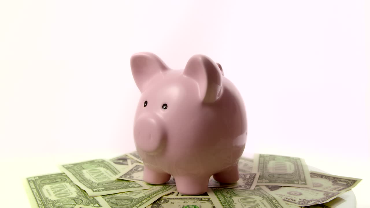 우리 달러에 앉아 돼지 저금통