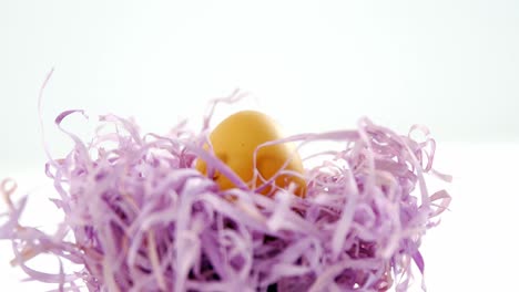 golden easter egg in the paper nest on white background