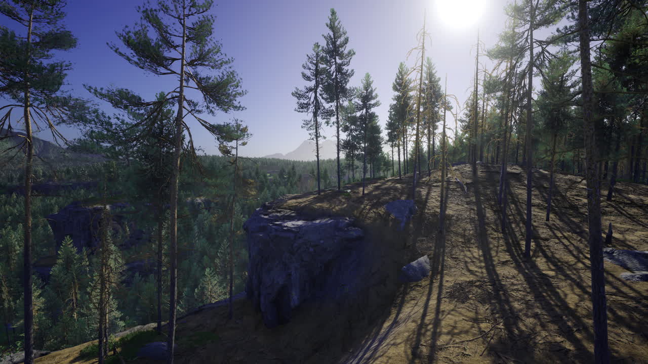 Scenic landscape at sunrise with tall trees and rocky terrain