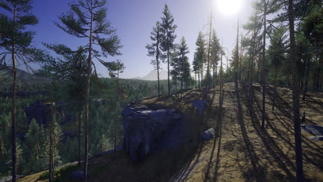scenic landscape at sunrise with tall trees and rocky terrain