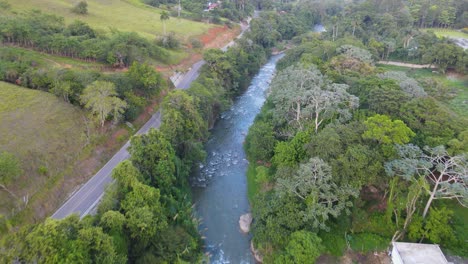 aerial view of a river running through a lush green forest