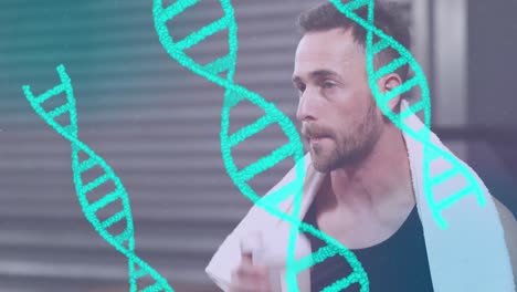 Animation-Von-DNA-über-Einem-Glücklichen-Kaukasischen-Mann,-Der-Wasser-Trinkt-Und-Sich-Im-Fitnessstudio-Ausruht