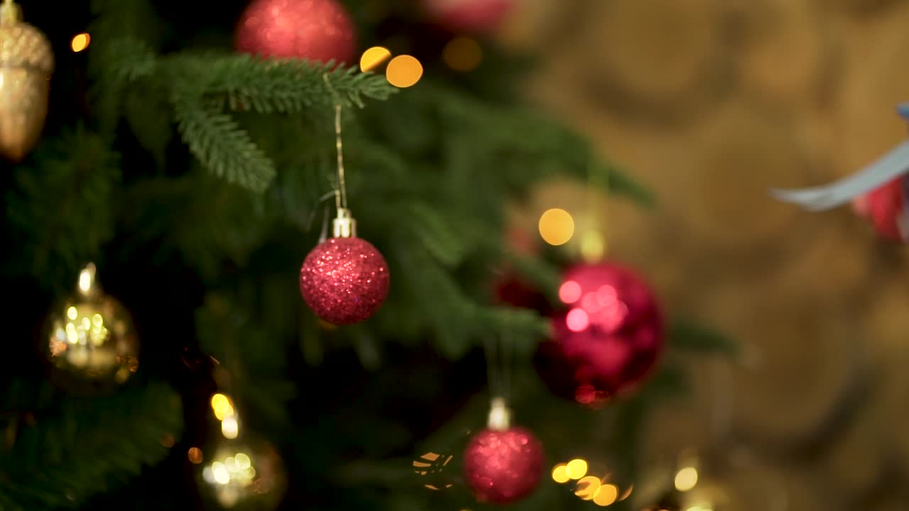 persona sosteniendo un regalo de navidad envuelto frente a un árbol de navidad