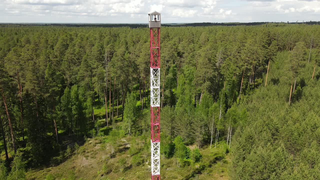 torre de vigilancia en el bosque